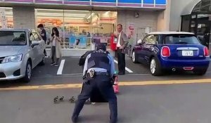 Des agents japonais protègent des poussins de la circulation