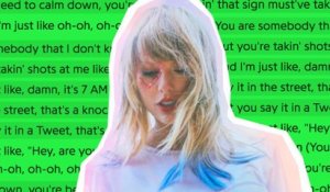 Taylor Swift’s “You Need To Calm Down” Explained
