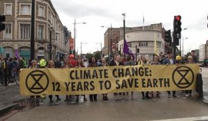 Des Londoniens bloquent la circulation pour dénoncer la pollution