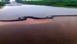 Regardez la taille de l'anaconda qu'ils ont rencontré dans une rivière brésilienne... Monstre de 15m