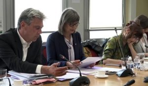 Commission d'enquête sur l'inclusion des élèves handicapés dans l'école et l'université de la République, quatorze ans après la loi du 11 février 2005 - Dieppe - 6e_audition - Mercredi 26 juin 2019