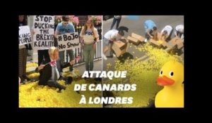 Le QG de Boris Johnson attaqué avec… des canards en plastique