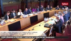 Petites lignes aériennes : l'audition de la ministre des transports - Les matins du Sénat (05/07/2019)