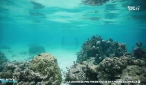 La jeunesse polynésienne se bat pour les coraux - Positive Outre-mer (04/07/2019)
