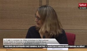 1000 emplois supprimés chez General Electric : l'audition d'Arnaud Montebourg au Sénat - Les matins du Sénat (11/07/2019)