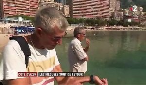 Méditerranée : les méduses envahissent les plages