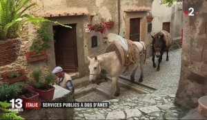Italie : des mulets en charge du service public