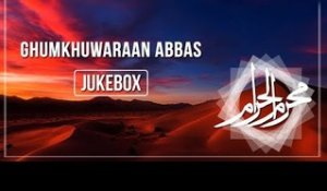 Ghumkhuwaraan Abbas (Syed Ali Zia Rizvi) | Nohay | Muharram | Audio Jukebox