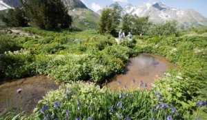Le jardin Alpin du Lautaret fête ses 120 ans 2