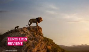 5 choses à savoir avant de regarder le remake du Roi lion