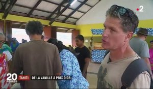 Tahiti : vanille polynésienne, un produit d'exception