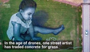 un artiste français réalise des graffitis sur du gazon