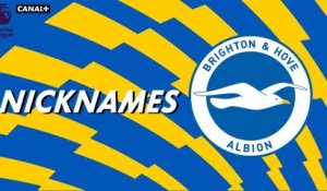 Nicknames - Les "Seagulls" de Brighton and Hove Albion
