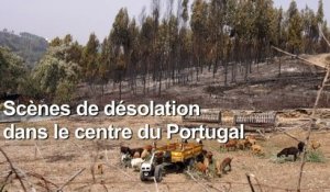 Portugal: forêts et habitations détruites par les incendies dans le centre du pays