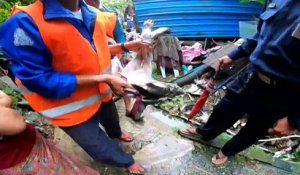 Birmanie: Rangoun chasse ses chiens errants