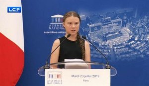 Greta, l'icône qui dérange les députés français