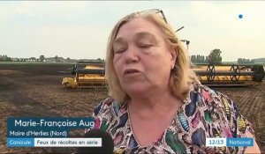 Des feux de récoltes ont ravagé des milliers d'hectares dans le nord de la France