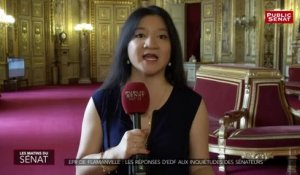 EPR de Flamanville: les réponses d'EDF aux inquiétudes des sénateurs - Les matins du Sénat (26/07/2019)