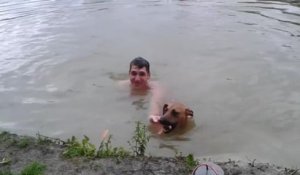 Un chien entraîné à sauver de la noyade