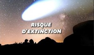 À l'origine des "nuits des étoiles", une comète qui menace toute vie sur Terre