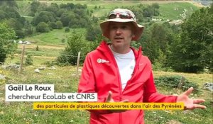 Pollution : il pleut du plastique dans les Pyrénées !