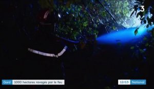 Gard : 1 000 hectares détruits dans les incendies