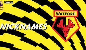 Nicknames - Les "Hornets" de Watford