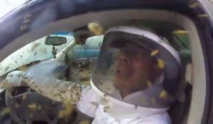 Le nid de guêpes qu'il découvre dans sa voiture est incroyable