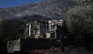 La Grèce fait face à plus de 50 incendies de forêt