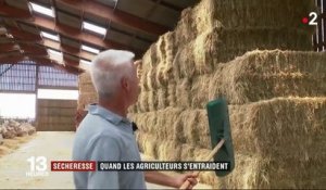 Sécheresse : l'entraide entre agriculteurs