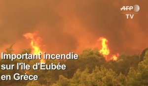 Grèce : important incendie sur l'île d'Eubée, 500 habitants évacués