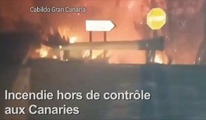 "Drame environnemental" à Grande Canarie, ravagée par le feu