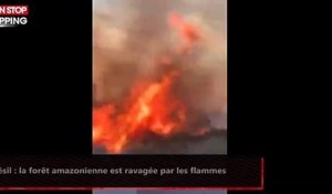 Brésil : la forêt amazonienne est ravagée par les flammes (vidéo)