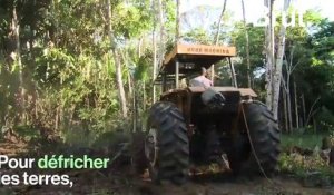 PrayforAmazonia : l'Amazonie en proie à de terribles incendies