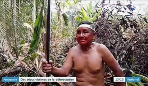 Amazonie : des tribus victimes de la déforestation