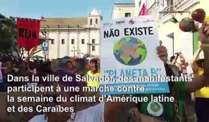 Des manifestants critiquent Bolsonaro sur les feux de forêt en Amazonie