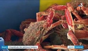 Brexit : les pêcheurs bretons s'inquiètent