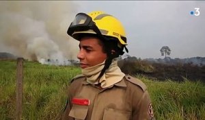 Amazonie : la lutte contre les incendies s'intensifie