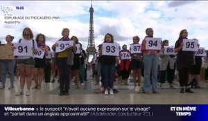 Les images du rassemblement à Paris pour dénoncer le "100e féminicide" de l’année