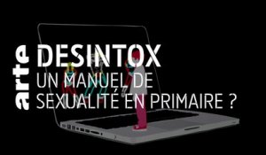 Un manuel de sexualité en primaire ? - 02/09/2019 - Désintox