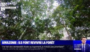 Ils replantent des arbres en Amazonie dans le but de faire revivre la forêt