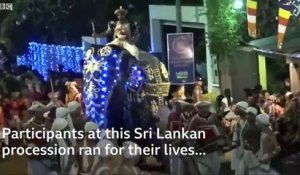 Sri-Lanka: Découvrez les images impressionnantes d'un éléphant qui devient fou et qui fonce dans la foule lors d'une parade