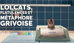 Culture Week by Culture Pub :  lolcats, flatulences et métaphore grivoise