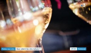 Foires aux vins : que valent les vins nature ?