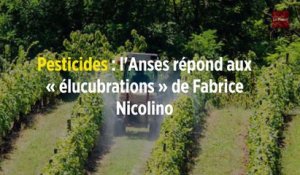 Pesticides : l'Anses répond aux « élucubrations » de Fabrice Nicolino