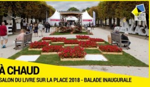 [A CHAUD] - Le Département partenaire du Livre sur la place 2019