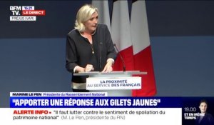 Marine Le Pen invoque "la logique du localisme" pour les municipales de 2020 et veut "faire descendre le pouvoir vers les citoyens"