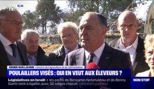 Poulaillers visés: qui en veut aux éleveurs ?