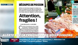 Dupin Quotidien : Alerte sur la fraîcheur de nos poissons - 19/09