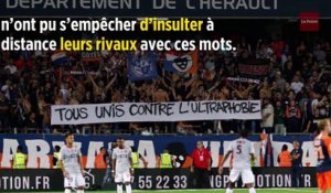 Homophobie dans les stades : retour sur la polémique des interruptions de matchs